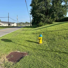 landscaping services by Uno Drywall and Painting Services ,LLC dba Franklin McCarter reviewed on August 21, 2025