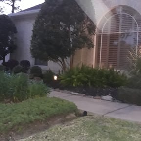 Bush Trimming by Three lawn care reviewed on August 16, 2025