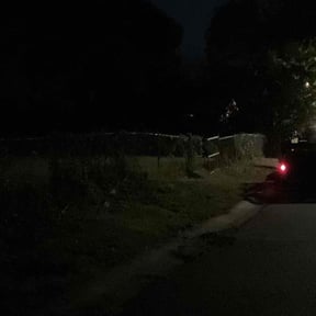 lawn care services by Dave's handyman services reviewed on May 3, 2024