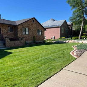 residential landscaping by All pros tree service reviewed on November 21, 2025