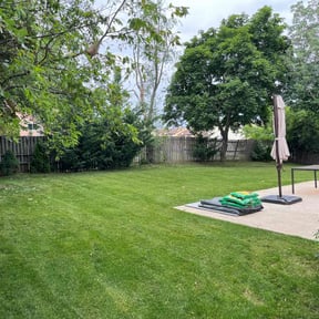 yard maintenance by Lawns by leo reviewed on August 20, 2025