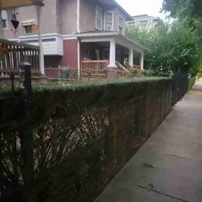 Bush Trimming by D&amp;D Landscaping reviewed on April 16, 2023