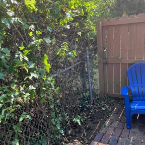 Bush Trimming by Livery Services LTD, llc reviewed on August 21, 2025