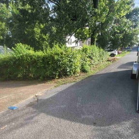 Bush Trimming by Gomez lawn care and snow removal LLC reviewed on November 24, 2025