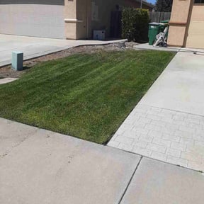 Bush Trimming by High Quality Lawn & Landscape reviewed on August 20, 2025