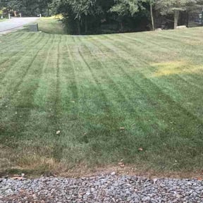 grass maintenance by Kingdom Creations reviewed on May 6, 2024