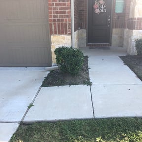Bush Trimming by Choice Landscaping and Lawncare reviewed on August 18, 2025