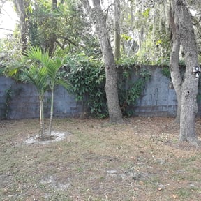 Flower Bed Weeding by GH landscape & Maintenance reviewed on August 16, 2025