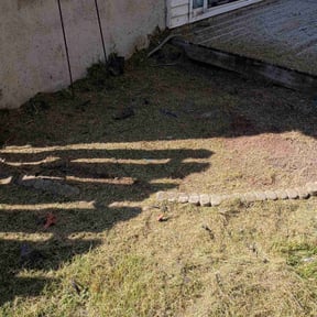 Flower Bed Weeding by Shawn Hussey Lawns reviewed on April 3, 2025