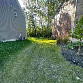 turf maintenance by Grinage Home Services LLC reviewed on July 21, 2023