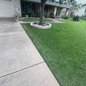 yard work by County Line Services reviewed on August 17, 2025