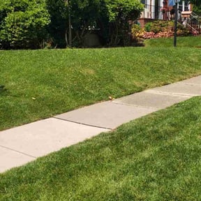 Bush Trimming by Robert Carreras Lawn Care reviewed on April 3, 2024