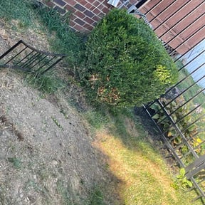 Flower Bed Weeding by Alwright Landscaping and Lawncare LLC reviewed on August 11, 2025