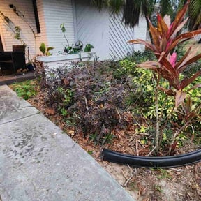 Bush Trimming by Local Green Lawn Care LLC reviewed on August 15, 2025