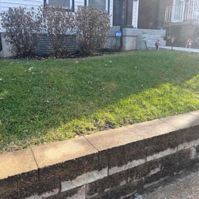 Leaf Removal by Rosetta LLC reviewed on September 7, 2025