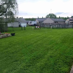 lawn care services by Northeast Yardworx reviewed on May 22, 2024