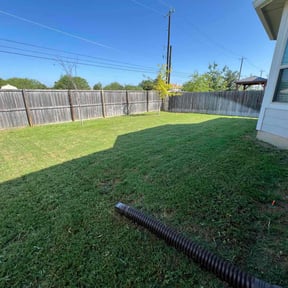 lawn maintenance by Mustang Mower reviewed on August 21, 2025