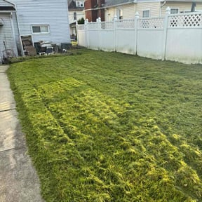 lawn service by Green Goes landscaping reviewed on May 2, 2024