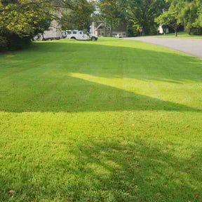 landscaping by CH Lawn reviewed on August 21, 2025