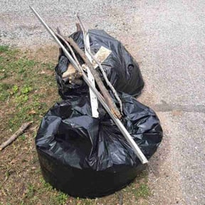 Leaf Removal by Pete's Lawncare reviewed on August 15, 2025