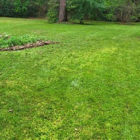 yard work by Ramon Moreno reviewed on December 7, 2025