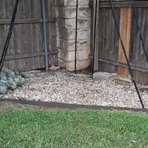 Bush Trimming by Martinez lawncare reviewed on August 18, 2025