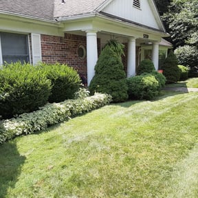 Bush Trimming by Lawn bros reviewed on August 18, 2025