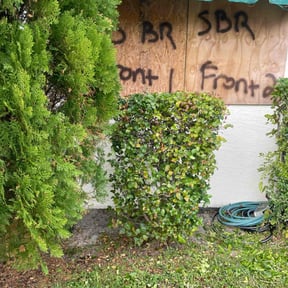 Bush Trimming by Here 2 there trucking llc reviewed on August 20, 2025