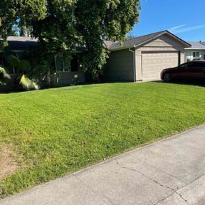 lawn care services by Bonsai Landscaping & Designs reviewed on August 17, 2025