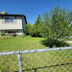 yard work by D’s landscaping reviewed on August 15, 2025