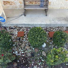 Bush Trimming by Dave&#039;s Electric Lawns reviewed on November 23, 2025