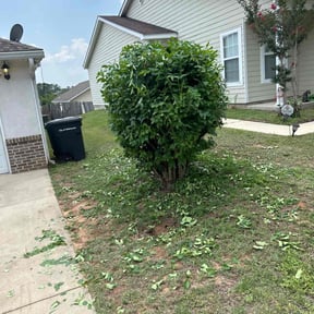 Bush Trimming by Elias Landscaping reviewed on August 18, 2025