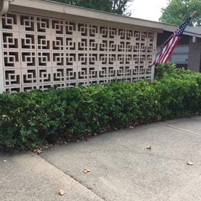 Bush Trimming by Bowes Lawn Care LLC reviewed on August 20, 2025