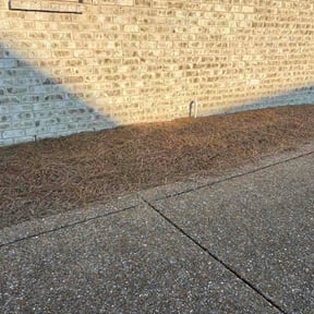 Flower Bed Weeding by Mulligan Outdoor Services reviewed on August 20, 2026