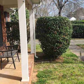 Bush Trimming by Nature Garden reviewed on April 2, 2026