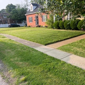 yard care by The Detailed Touch reviewed on November 25, 2025