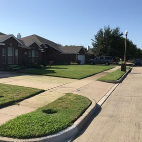 gardening service by Torres Lawn Care reviewed on August 19, 2025