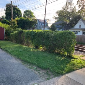 Bush Trimming by TripleR Lawn Care reviewed on August 16, 2025