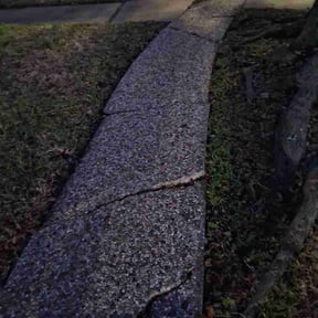 Leaf Removal by Concept cutz reviewed on June 13, 2026