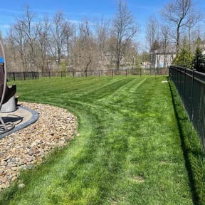gardening service by Abney's lawncare reviewed on August 16, 2025