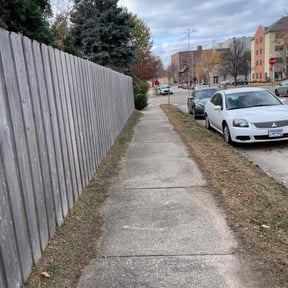 Leaf Removal by Total Ground Care LLC reviewed on November 22, 2025