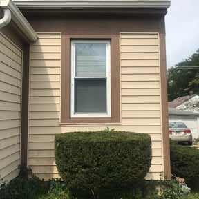 Bush Trimming by Kelly Hauling and Snow Removal LLC reviewed on August 19, 2025