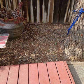 Leaf Removal by Banda Landscaping reviewed on May 27, 2026