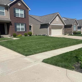 yard maintenance by Krispy Kutz Landscaping & More reviewed on August 19, 2025