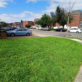 lawn service by Elite Lawn Care &amp; Landscaping reviewed on August 18, 2025