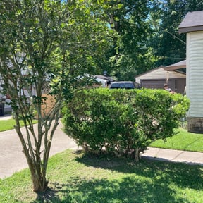 Bush Trimming by Sir Knights Lawn Care reviewed on November 21, 2025