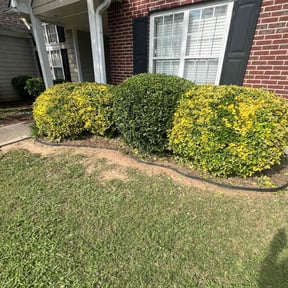 Bush Trimming by Caver Lawn Care reviewed on August 17, 2025