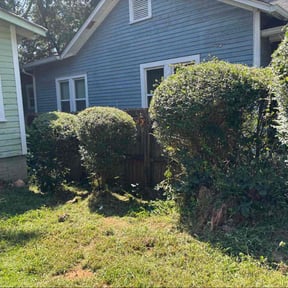 Bush Trimming by Gerringer Lawn Care reviewed on December 29, 2023