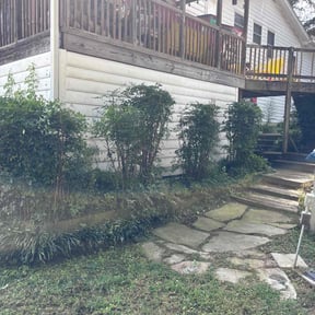 Bush Trimming by Enclave Landscape Management reviewed on October 19, 2025