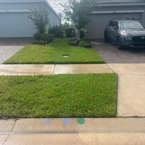 yard service by WhaleyScapes lawn services  reviewed on December 8, 2025